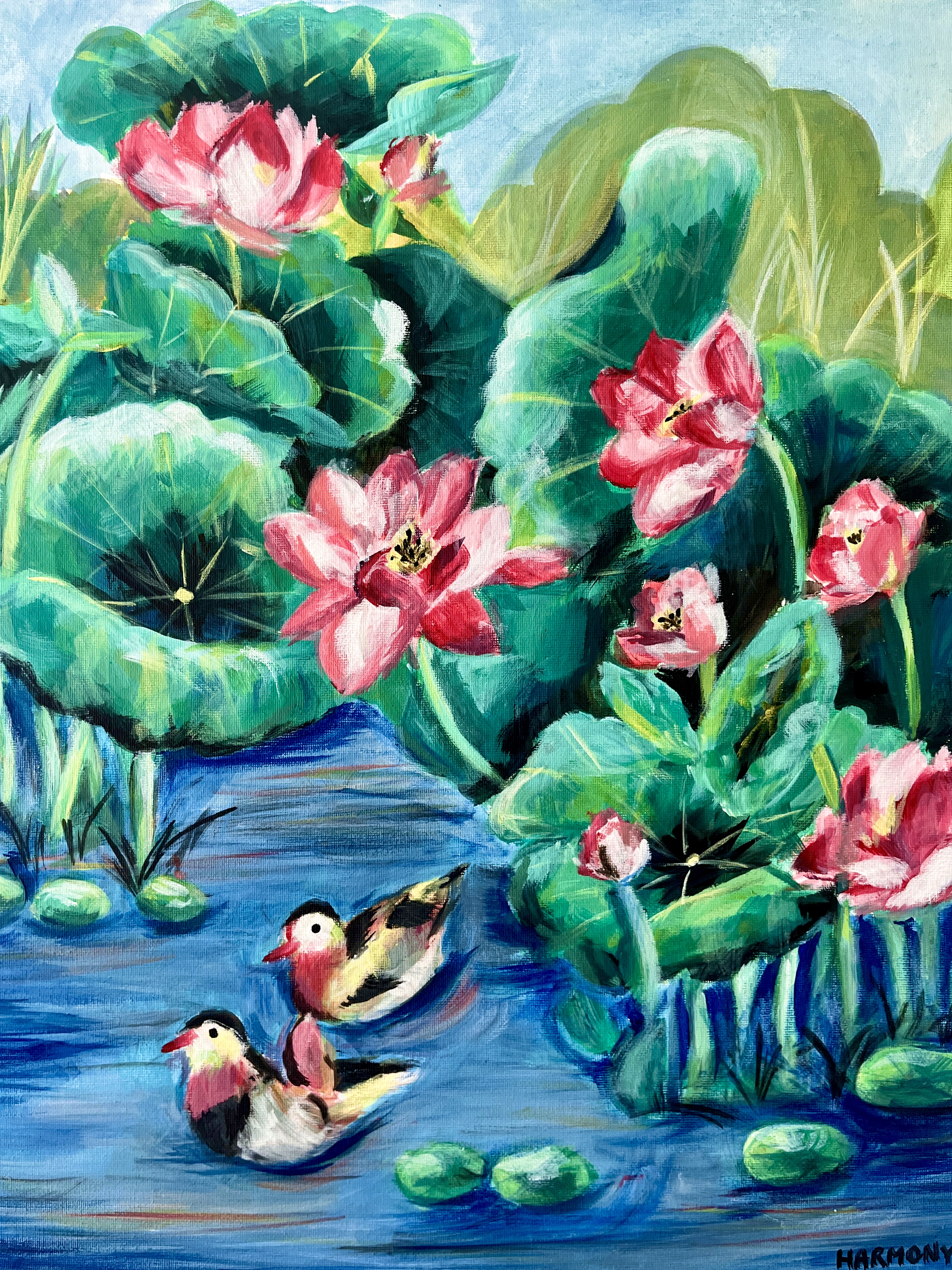 Lotus pond with pink flowers and two ducks